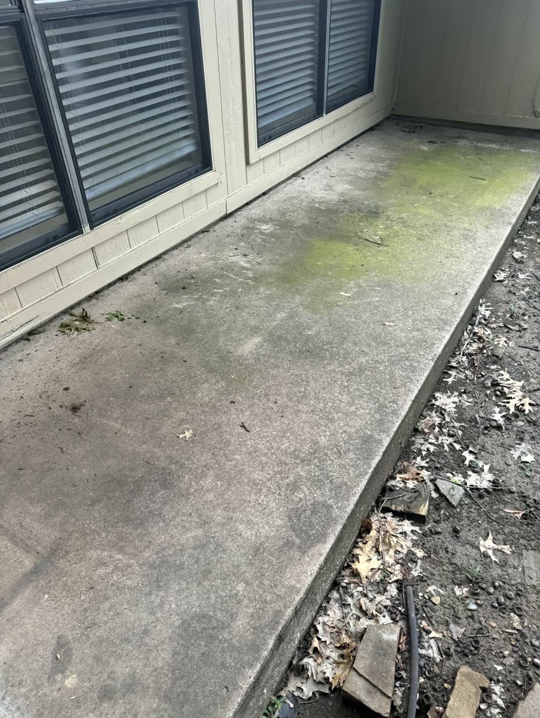 Walkway covered in green algae and grime before pressure washing